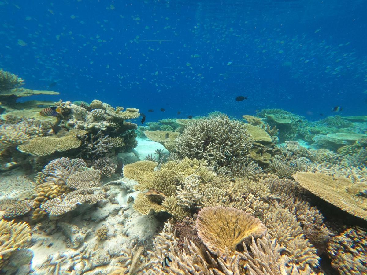 Sealavie 3* Ukulhas