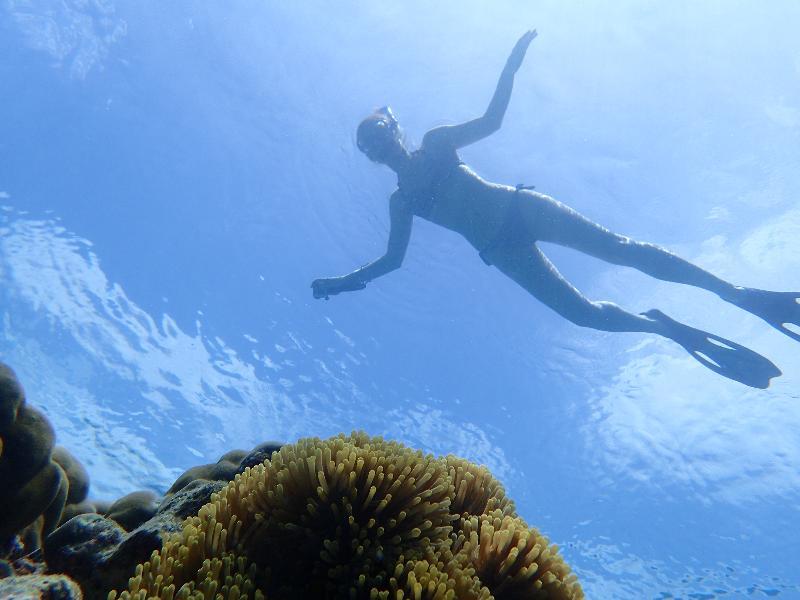 Sealavie 3* Ukulhas